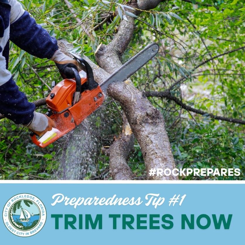 Preparedness Tip 1 - Trim Trees Now